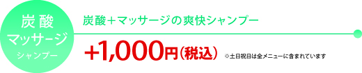 炭酸マッサージシャンプー